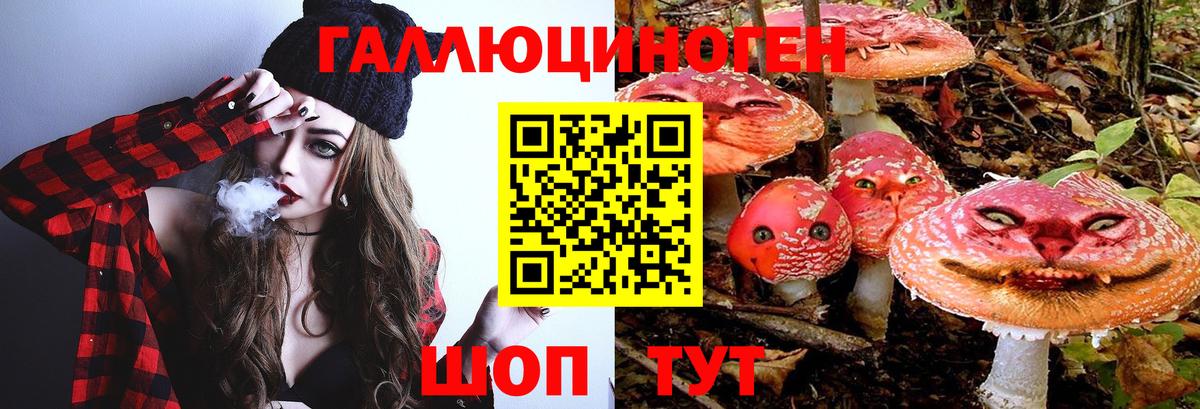 Галлюциногенные грибы Psilocybe Джанкой